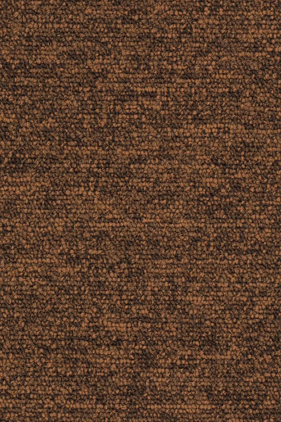 Rambo Fliese 50 x 50 cm Farbe 283