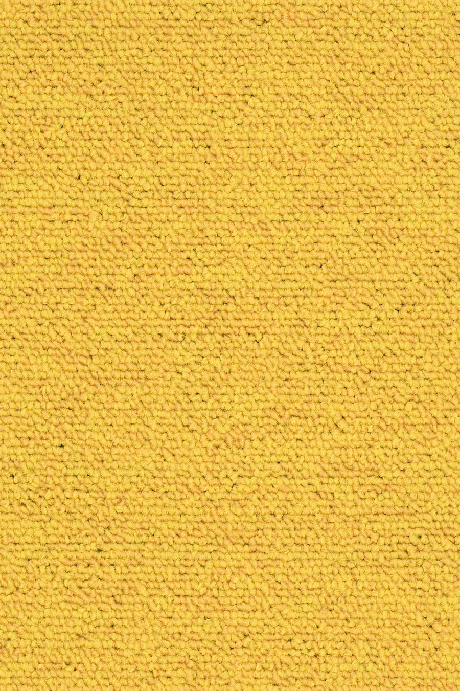 Rambo Fliese 50 x 50 cm Farbe 210