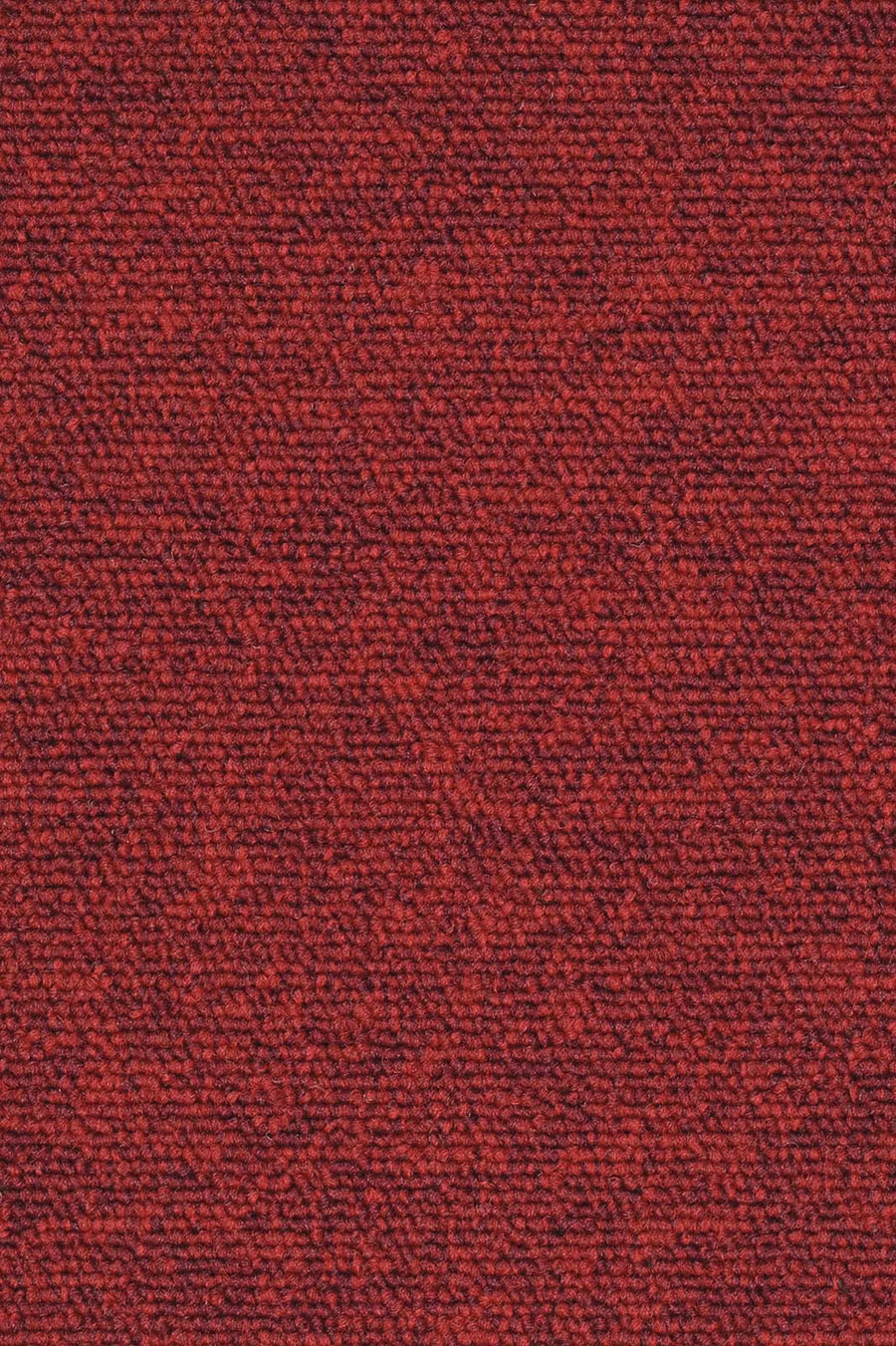 Diego Fliese 50 x 50 cm Farbe 305