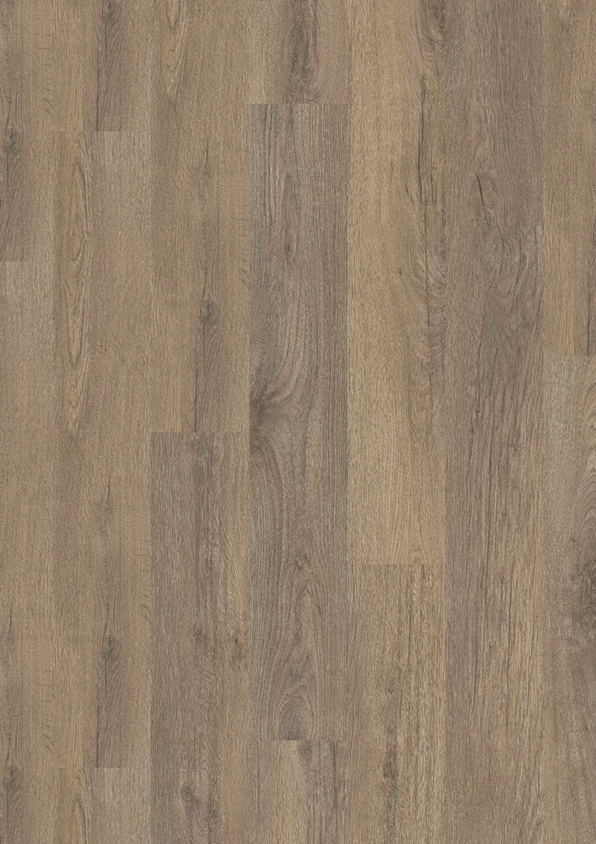 Evolut 555 915 Stone Oak EIR