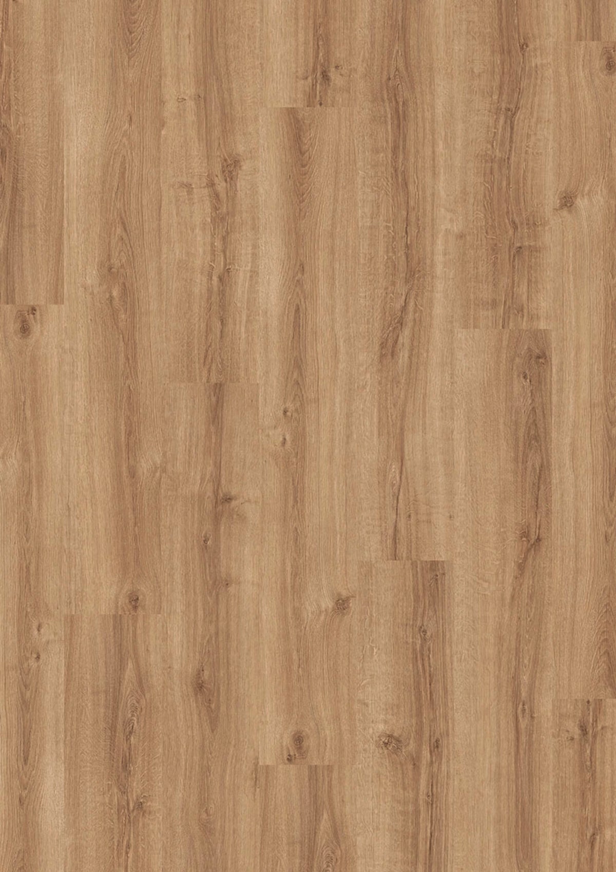 Evolut 555 914 Summer Oak