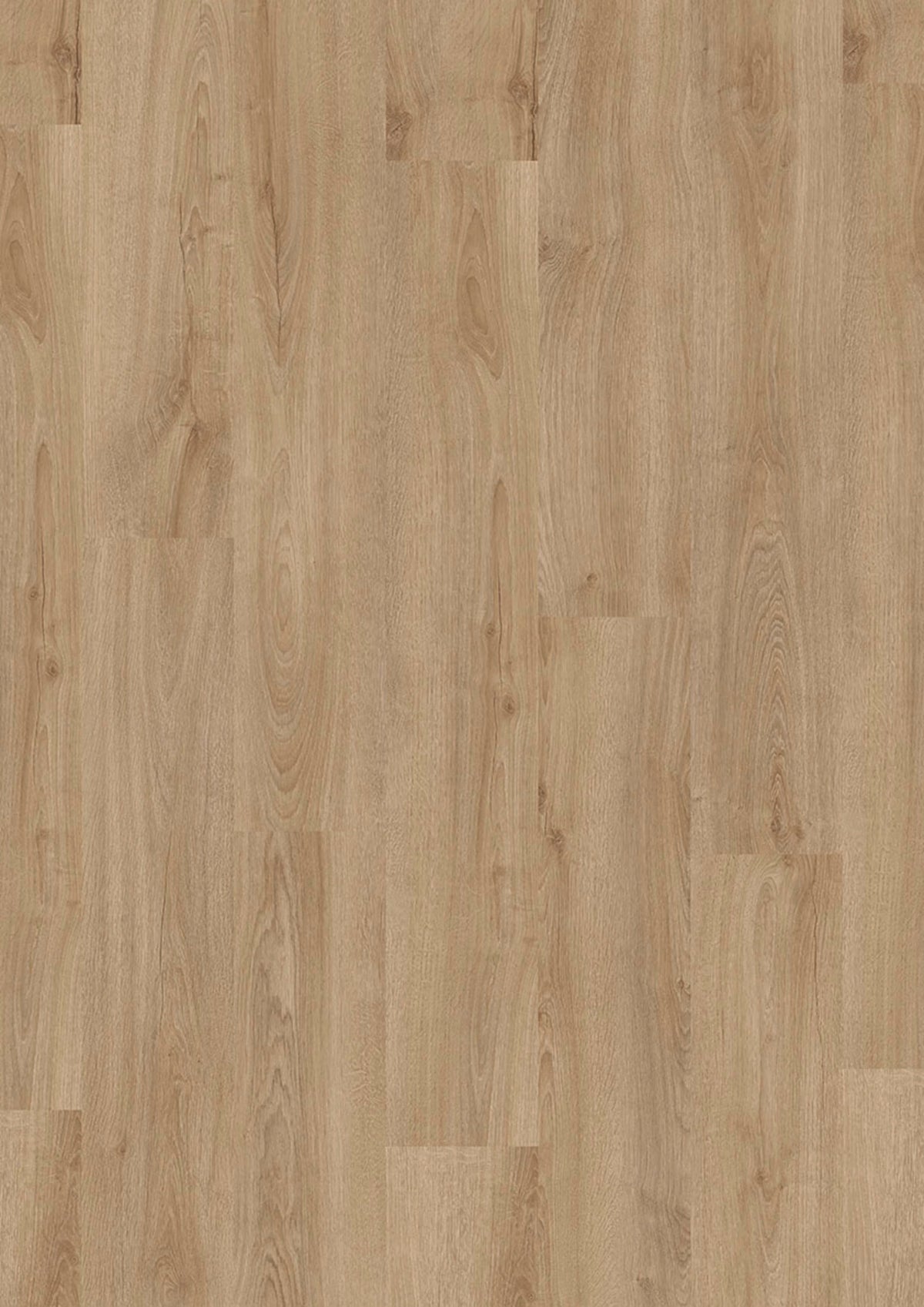 Evolut 555 911 Forest Oak EIR
