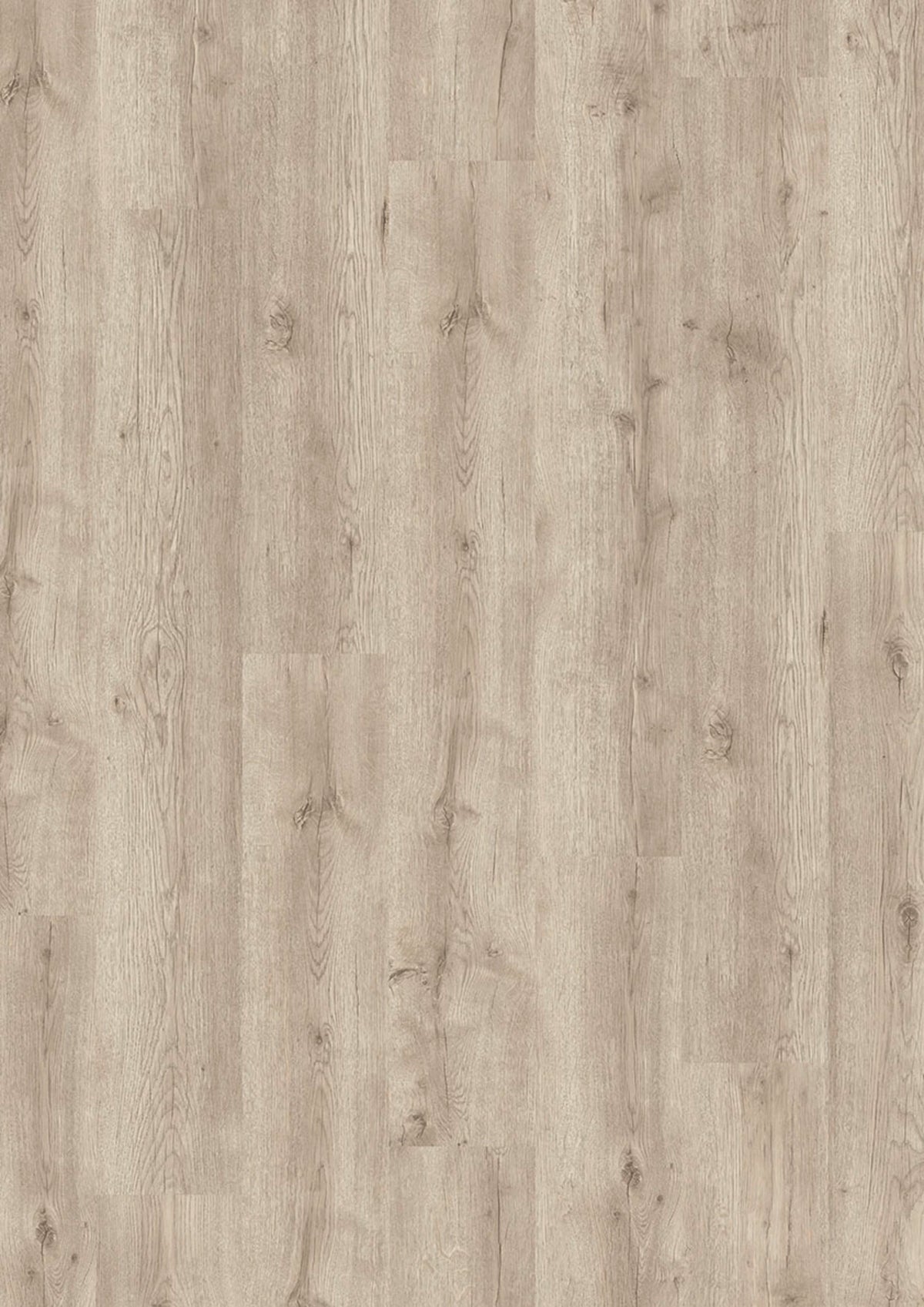 Evolut 555 909 Hazy Oak EIR