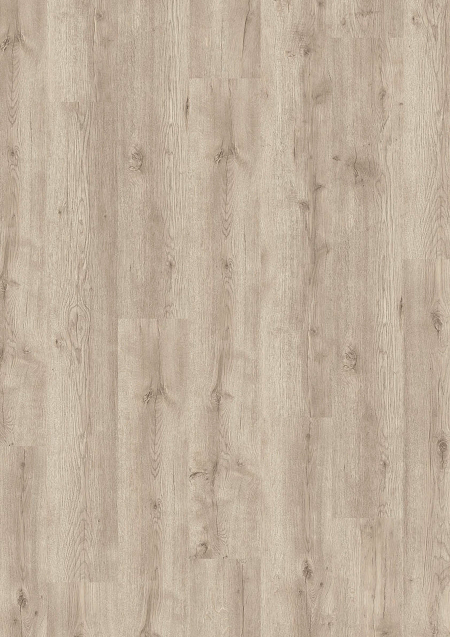 Evolut 555 909 Hazy Oak EIR