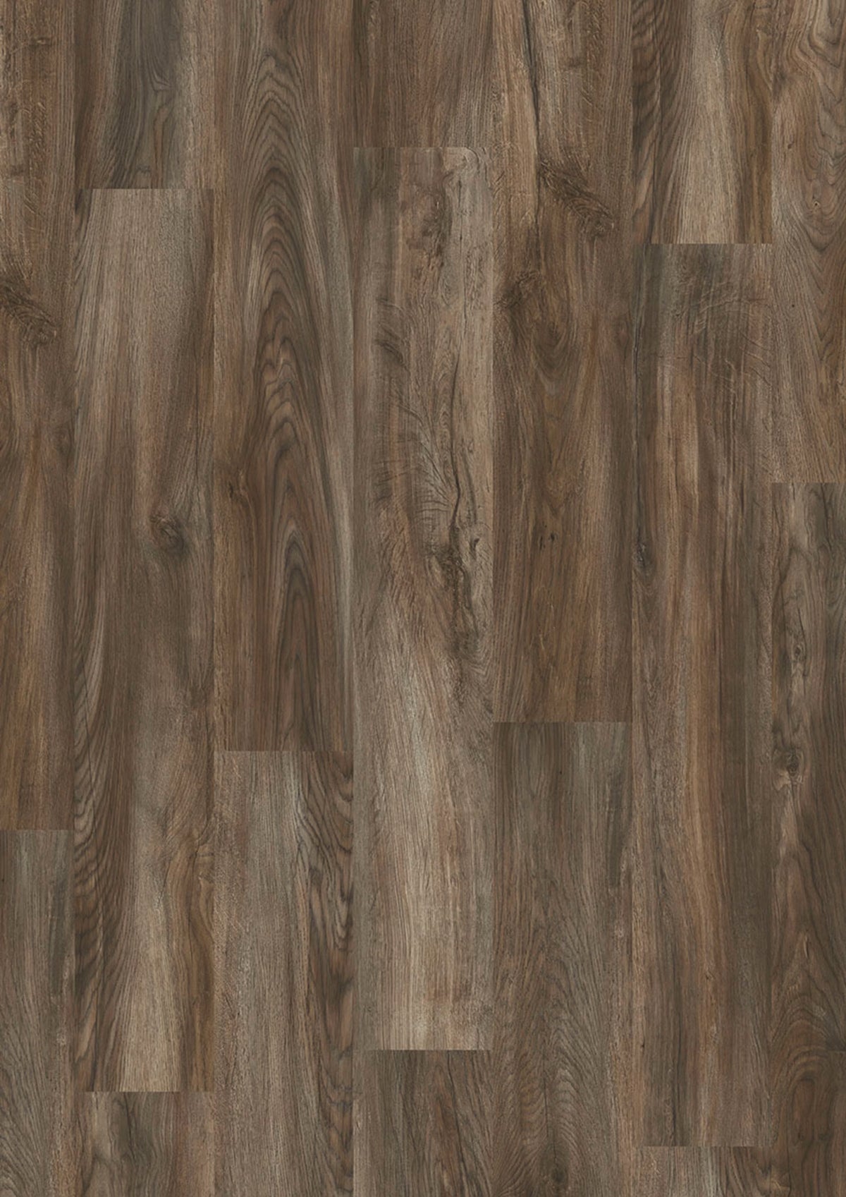 Evolut 555 906 Mud Oak EIR