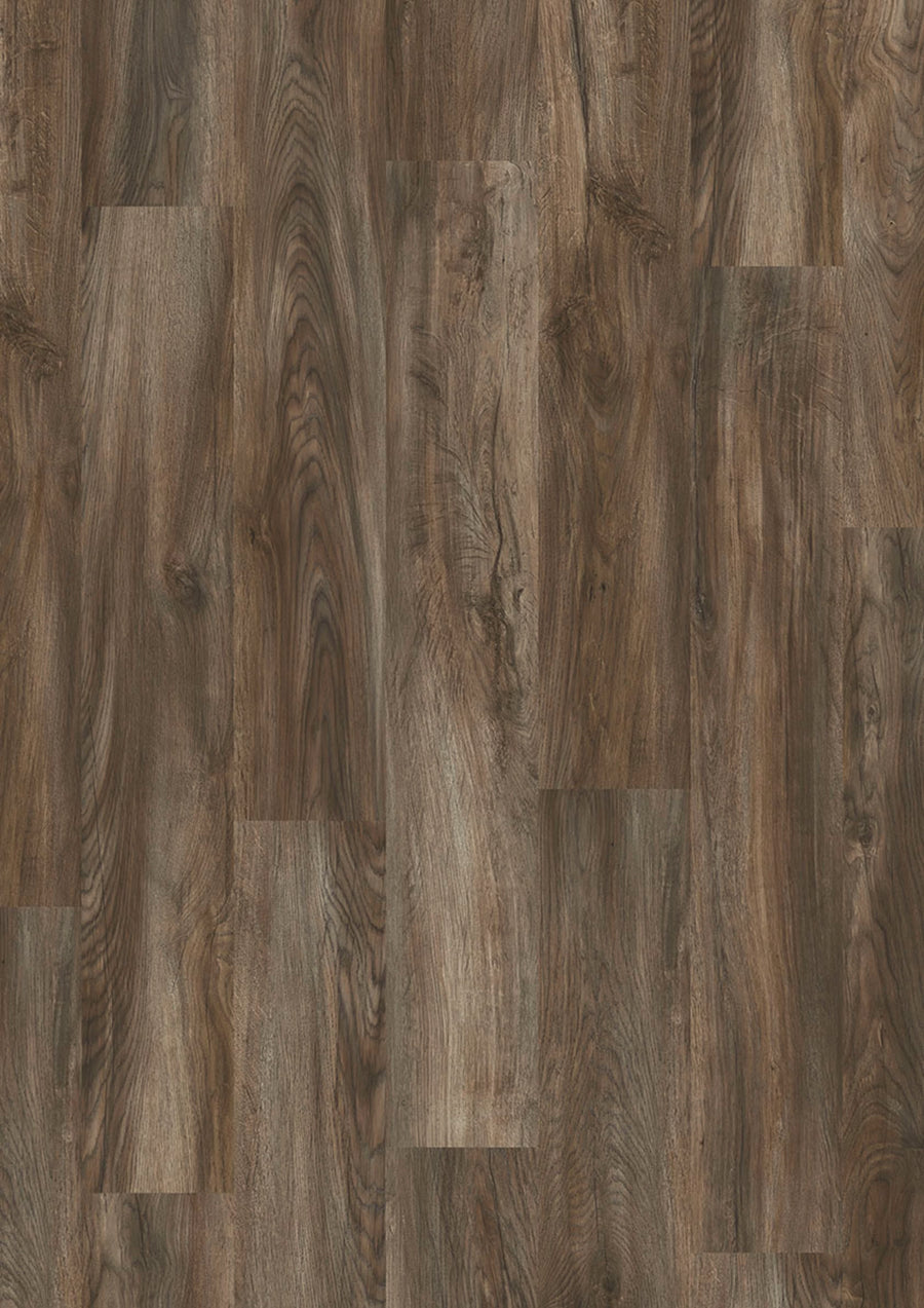 Evolut 555 906 Mud Oak EIR