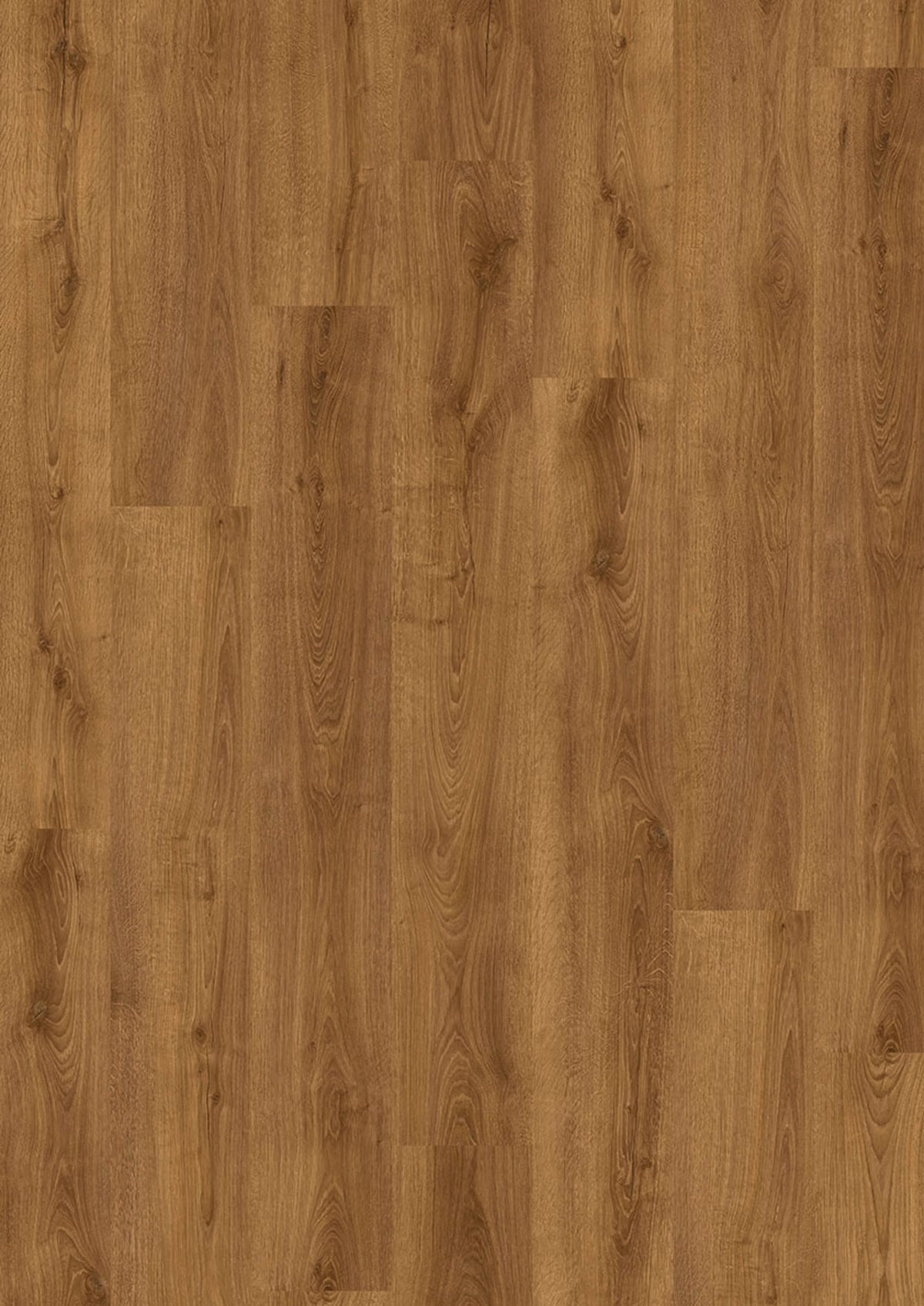 Evolut 555 905 Cognac Oak EIR