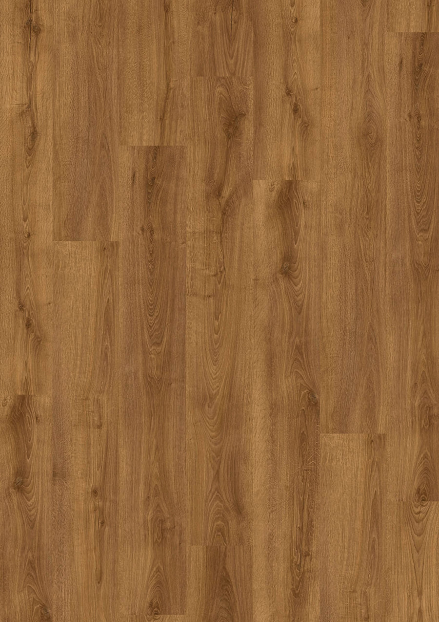 Evolut 555 905 Cognac Oak EIR