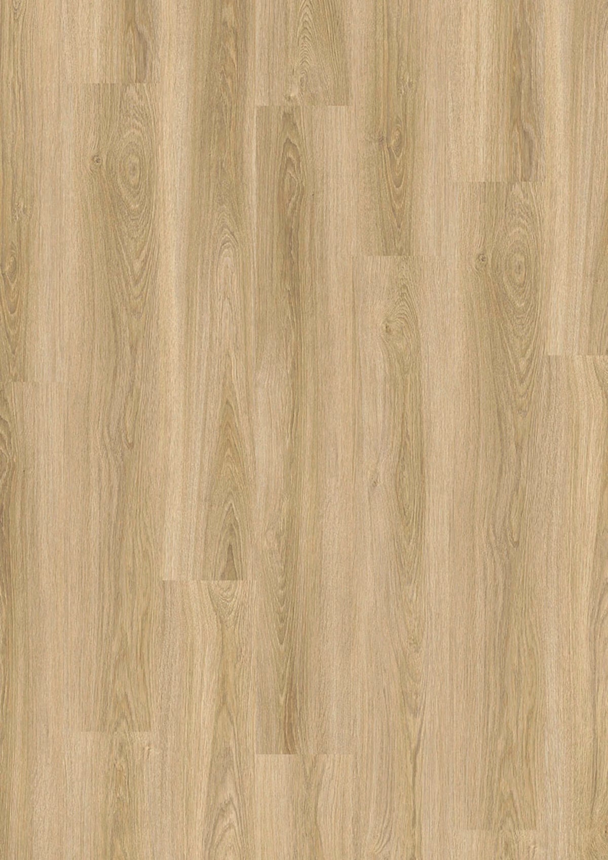 Evolut 555 902 Frosty Oak