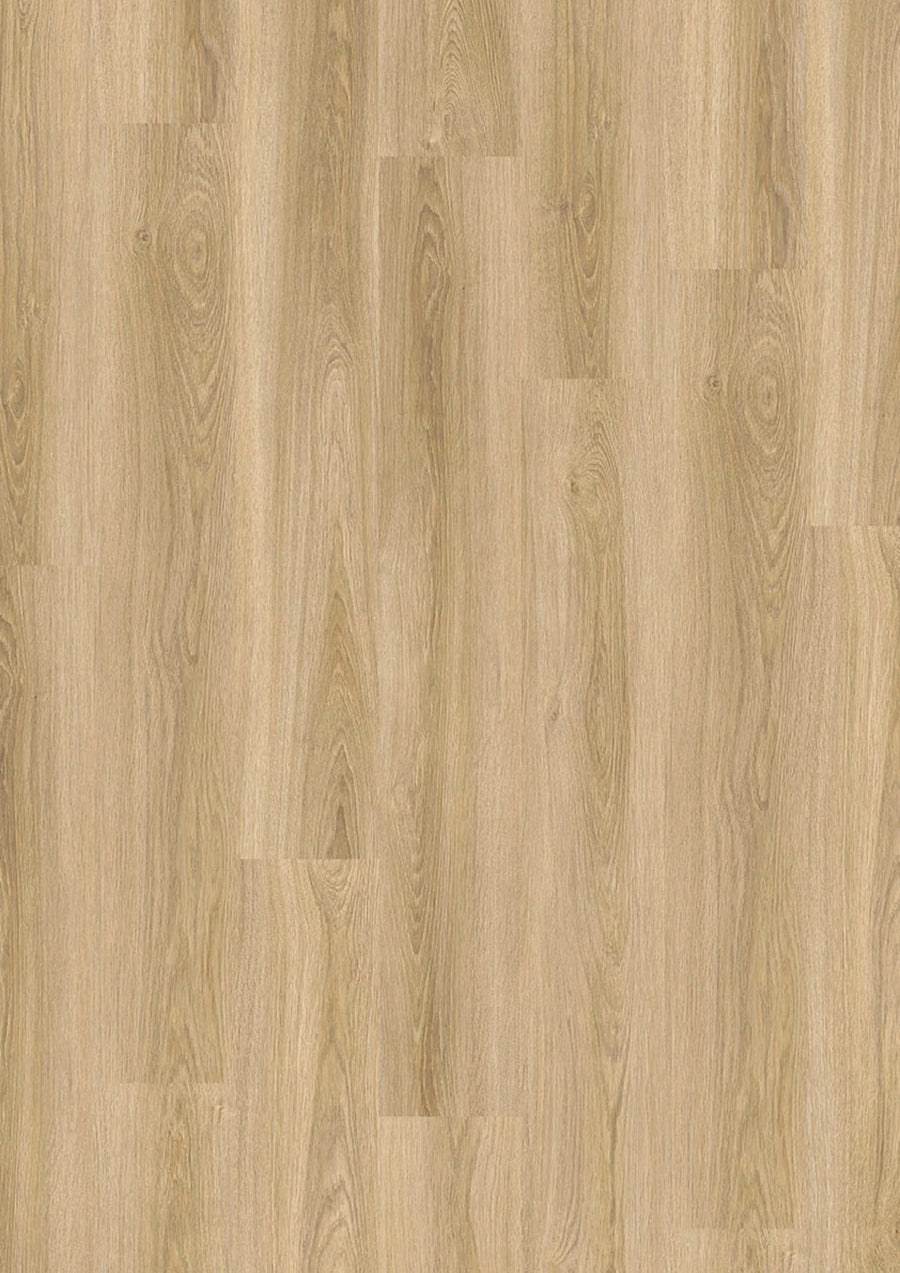 Evolut 555 902 Frosty Oak