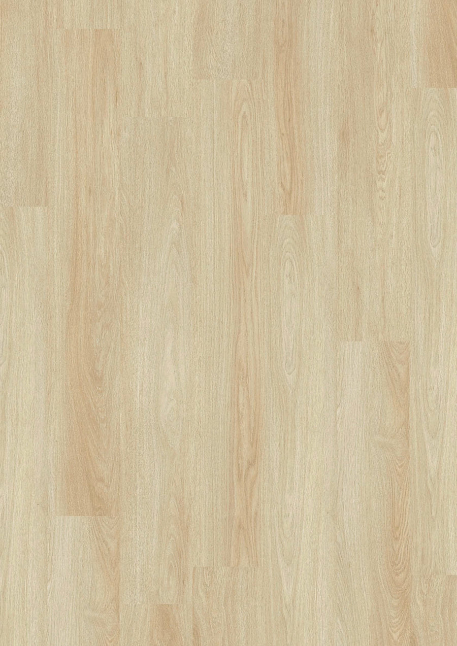 Evolut 555 901 Almond Oak EIR