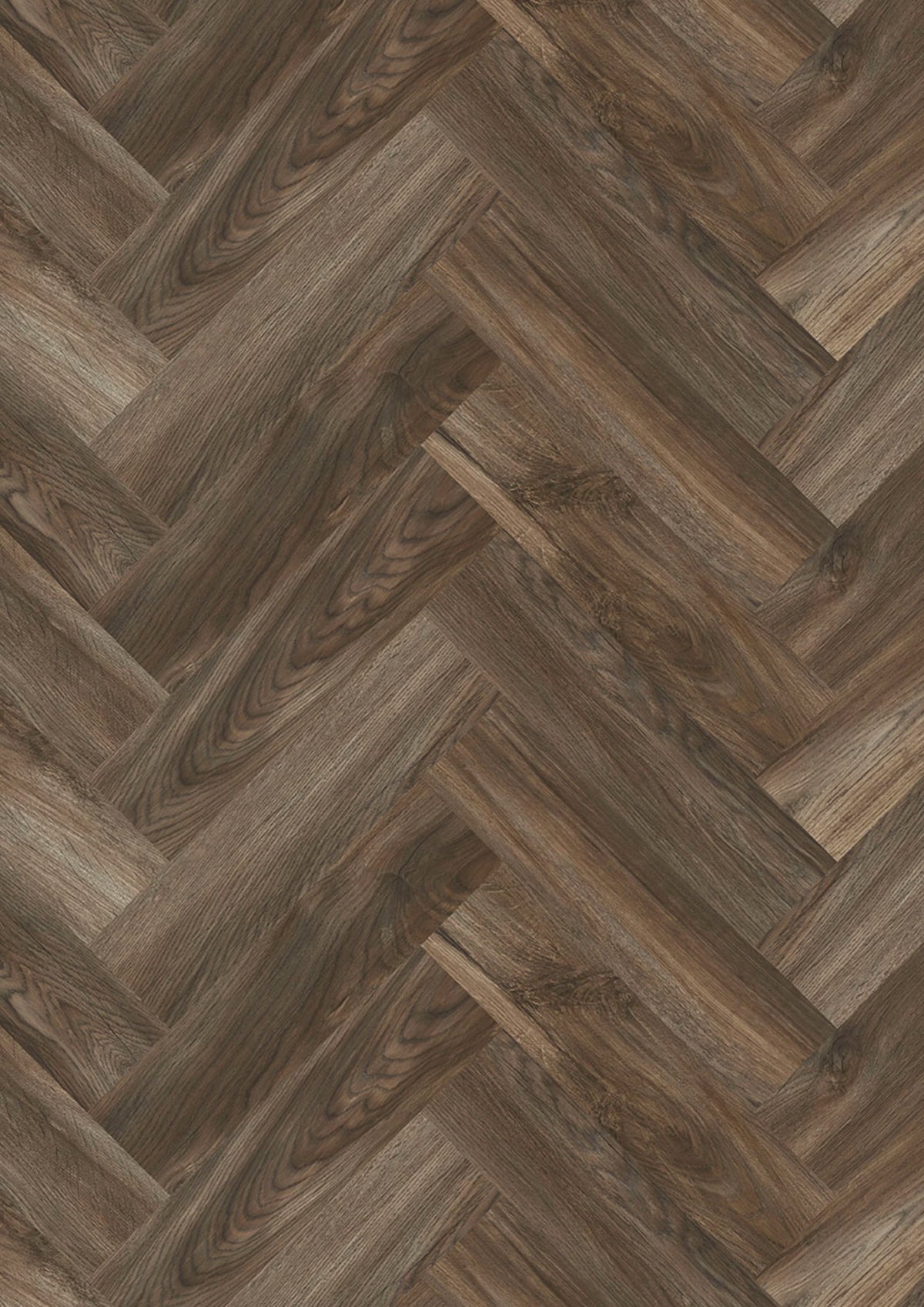 Evolut 555 106 Mud Oak EIR