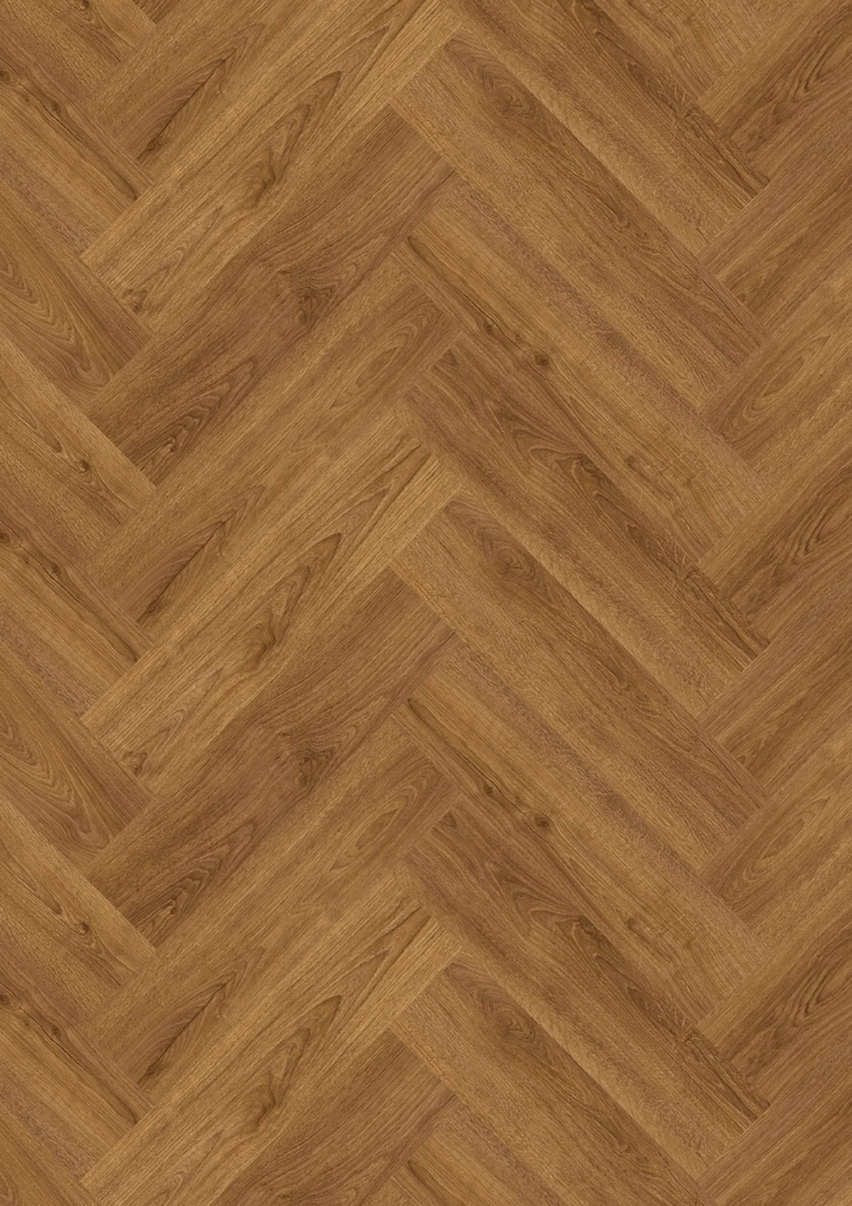 Evolut 555 105 Cognac Oak EIR
