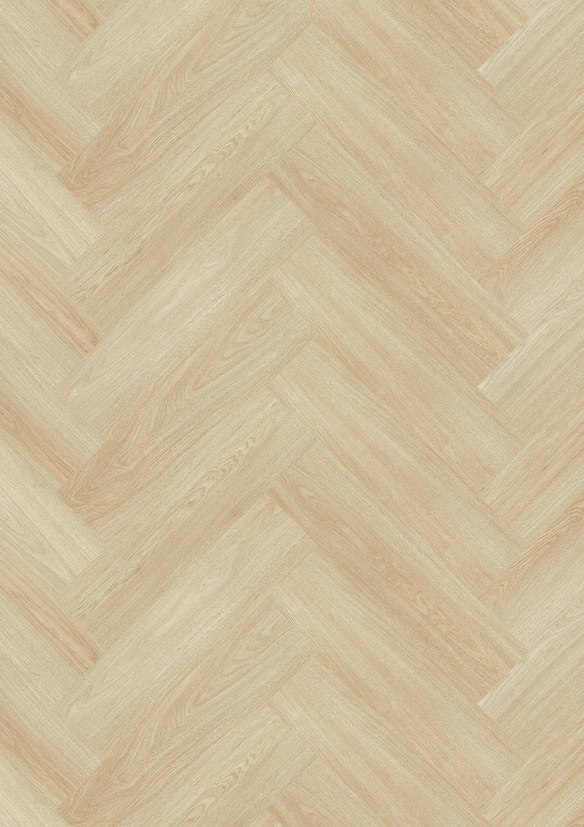 Evolut 555 101 Almond Oak EIR