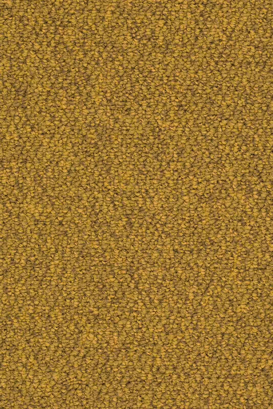 Omega Farbe 205