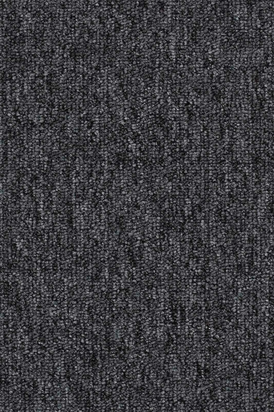Maidan Farbe 99