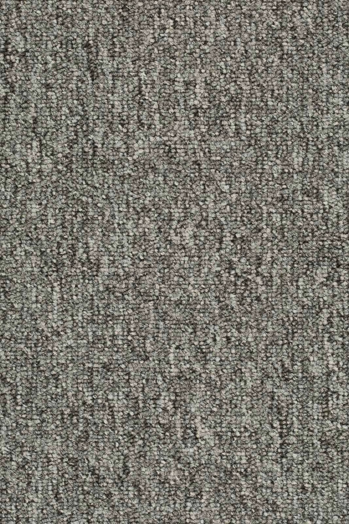 Maidan Farbe 94