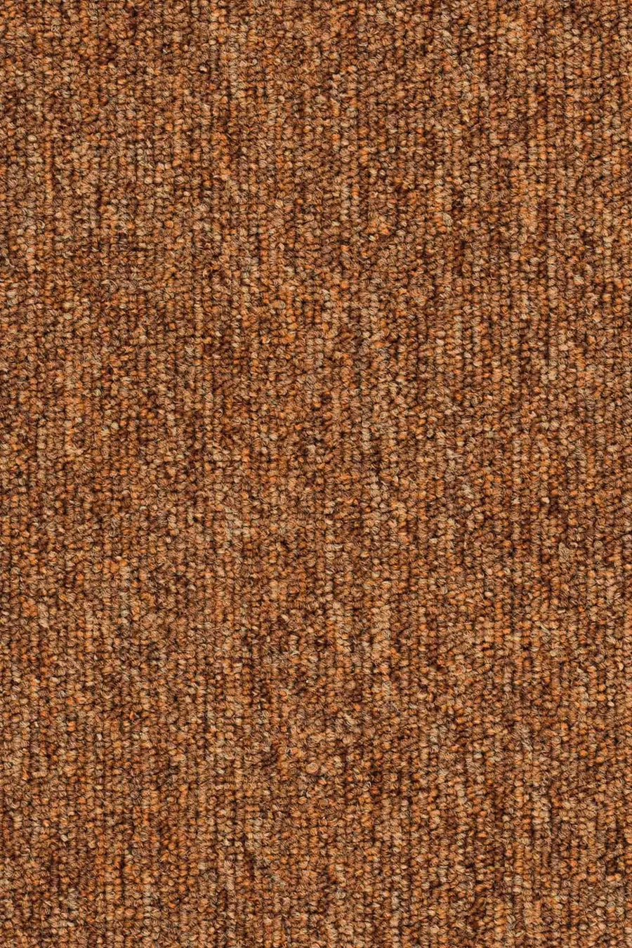 Maidan Farbe 84