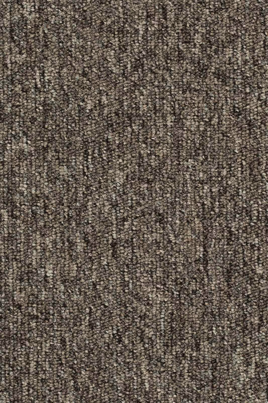 Maidan Farbe 40