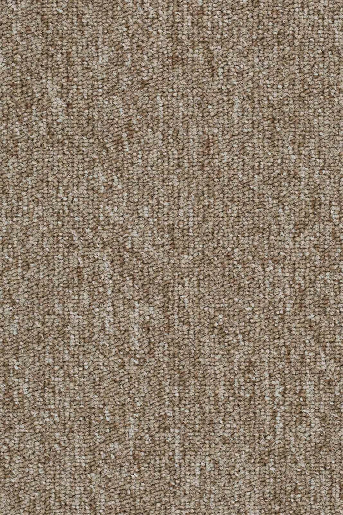 Maidan Farbe 33
