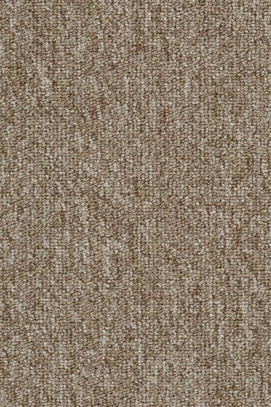 Maidan Farbe 33