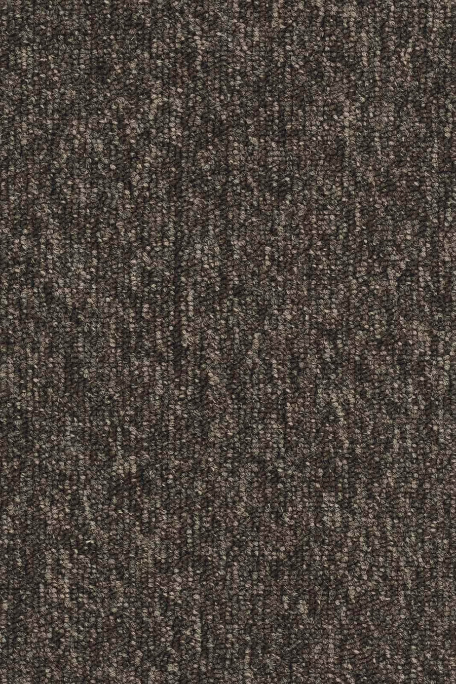 Maidan Fliese 50 x 50 cm Farbe 43