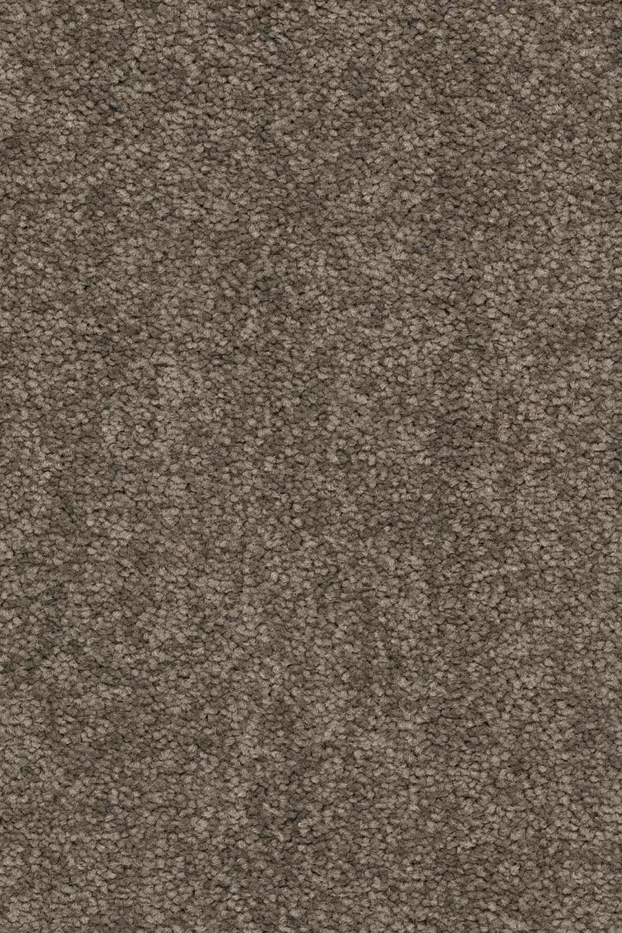 Livia Farbe 860