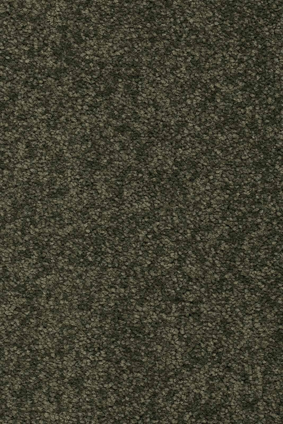 Livia Farbe 590