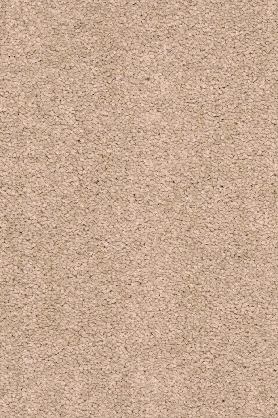 Livia Farbe 450