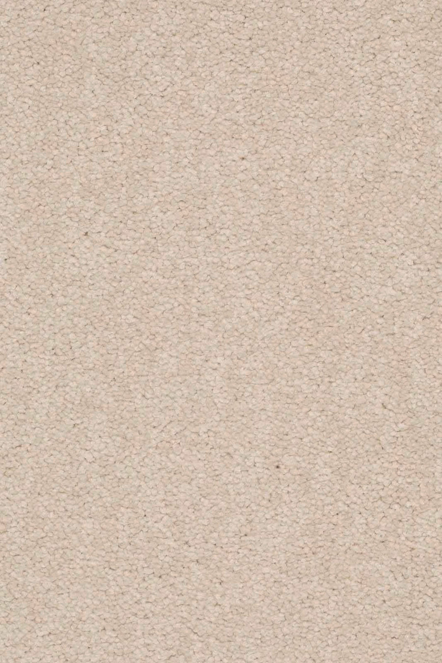 Livia Farbe 440