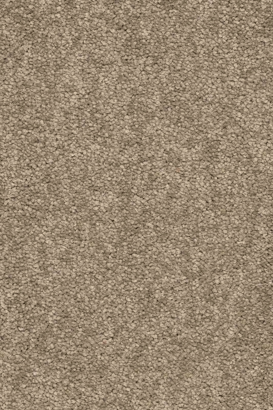 Livia Farbe 430