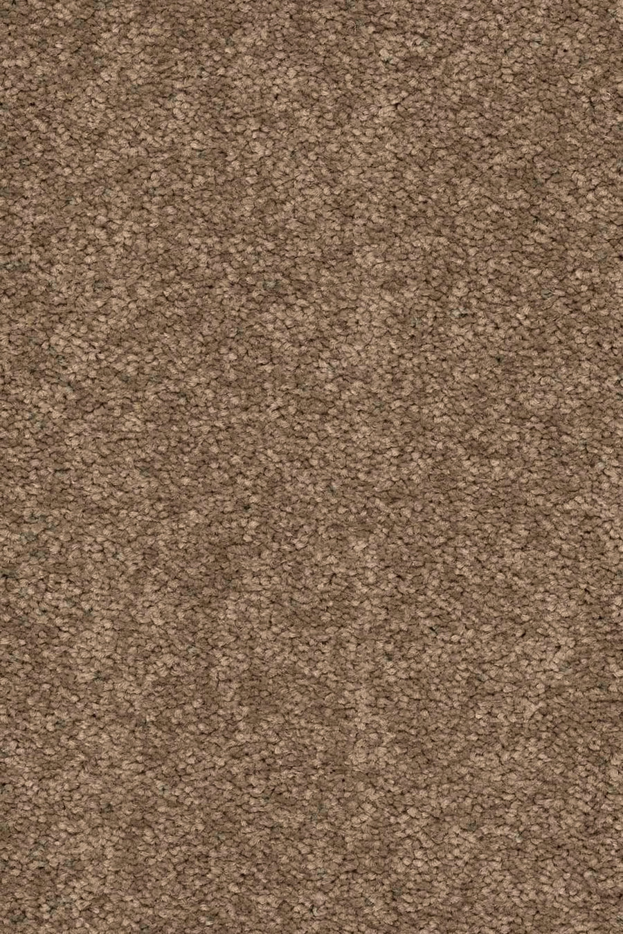 Livia Farbe 260