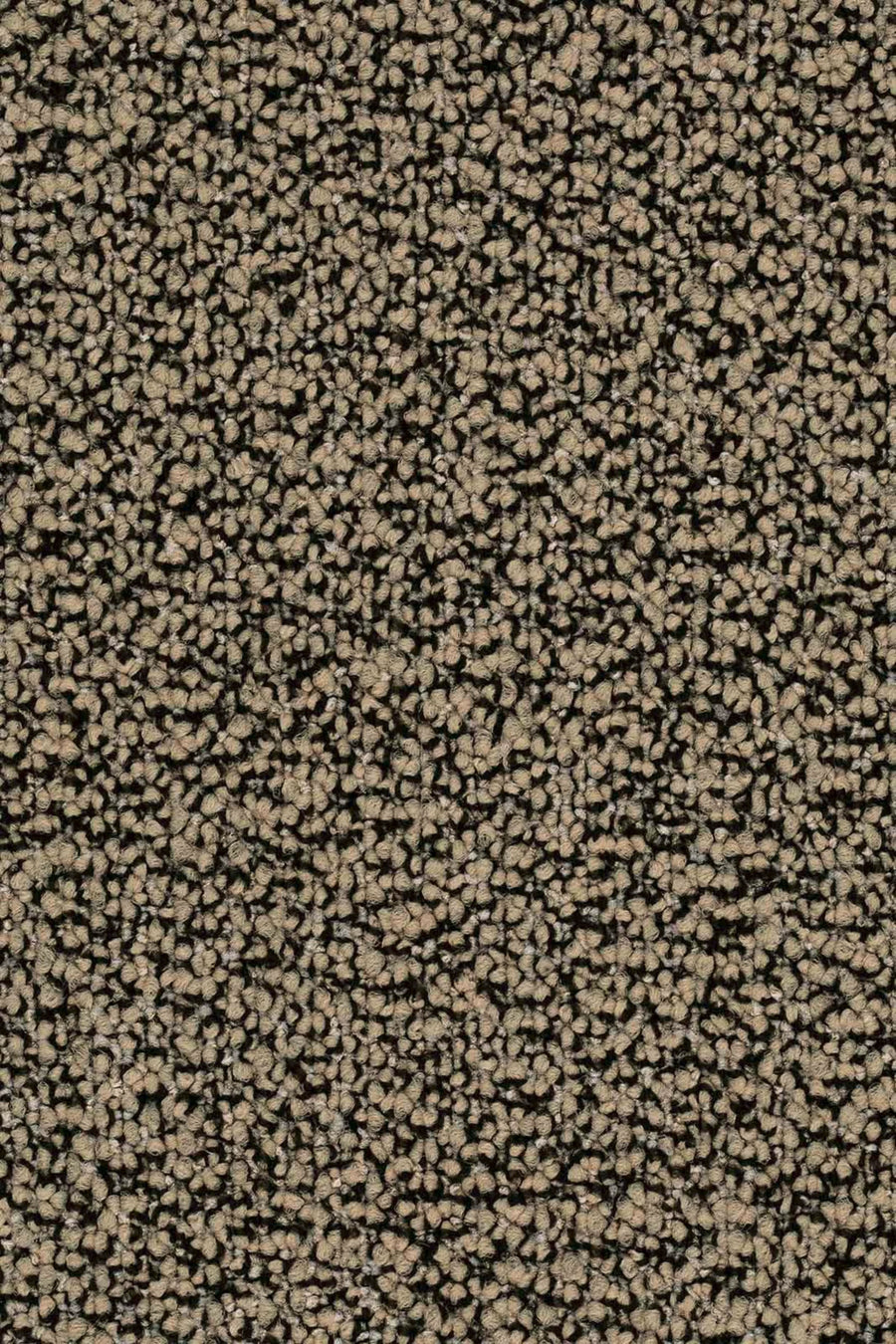 Lisaro Fliese 50 x 50 cm Farbe 876
