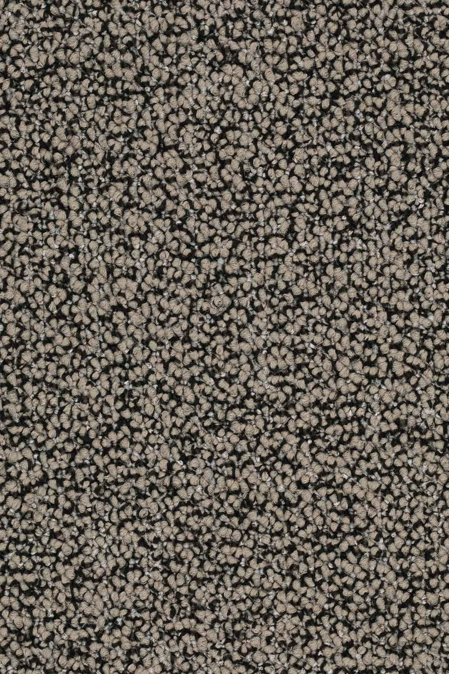 Lisaro Fliese 50 x 50 cm Farbe 875