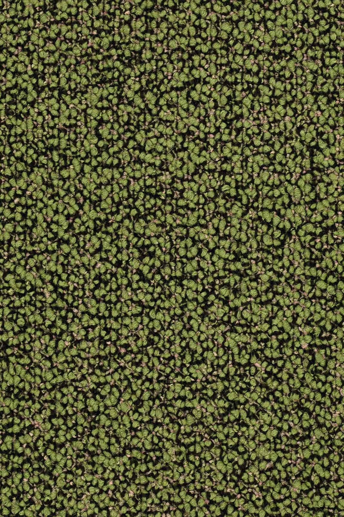 Lisaro Fliese 50 x 50 cm Farbe 419
