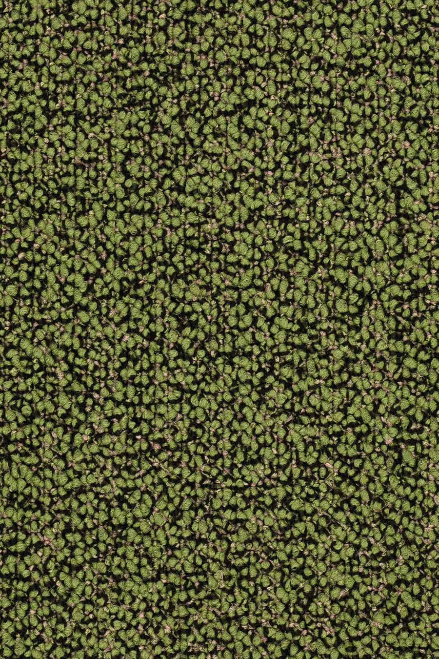 Lisaro Fliese 50 x 50 cm Farbe 419