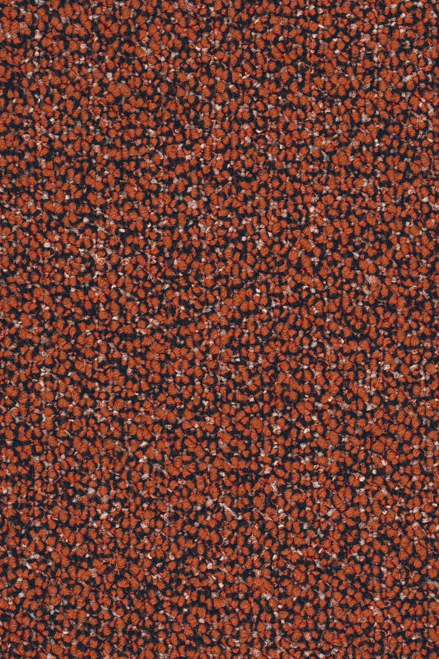 Lisaro Fliese 50 x 50 cm Farbe 138
