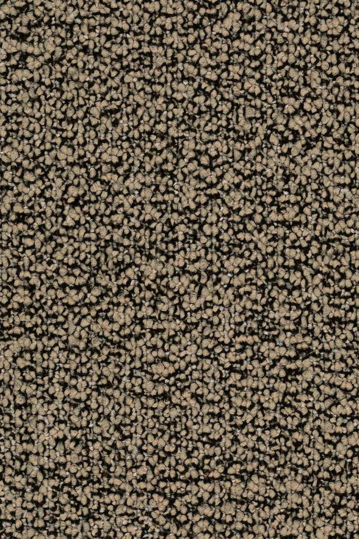 Lisaro Farbe 876