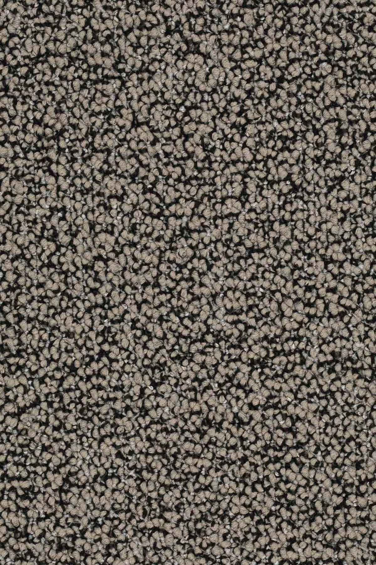 Lisaro Farbe 875