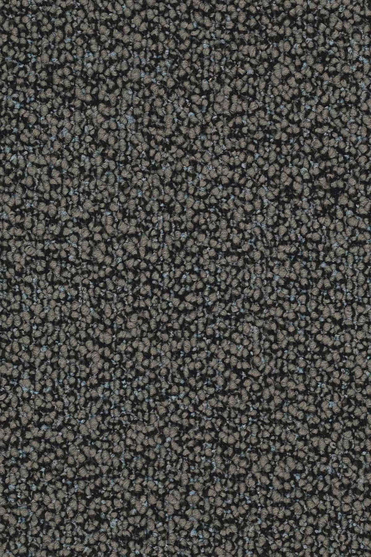 Lisaro Farbe 501