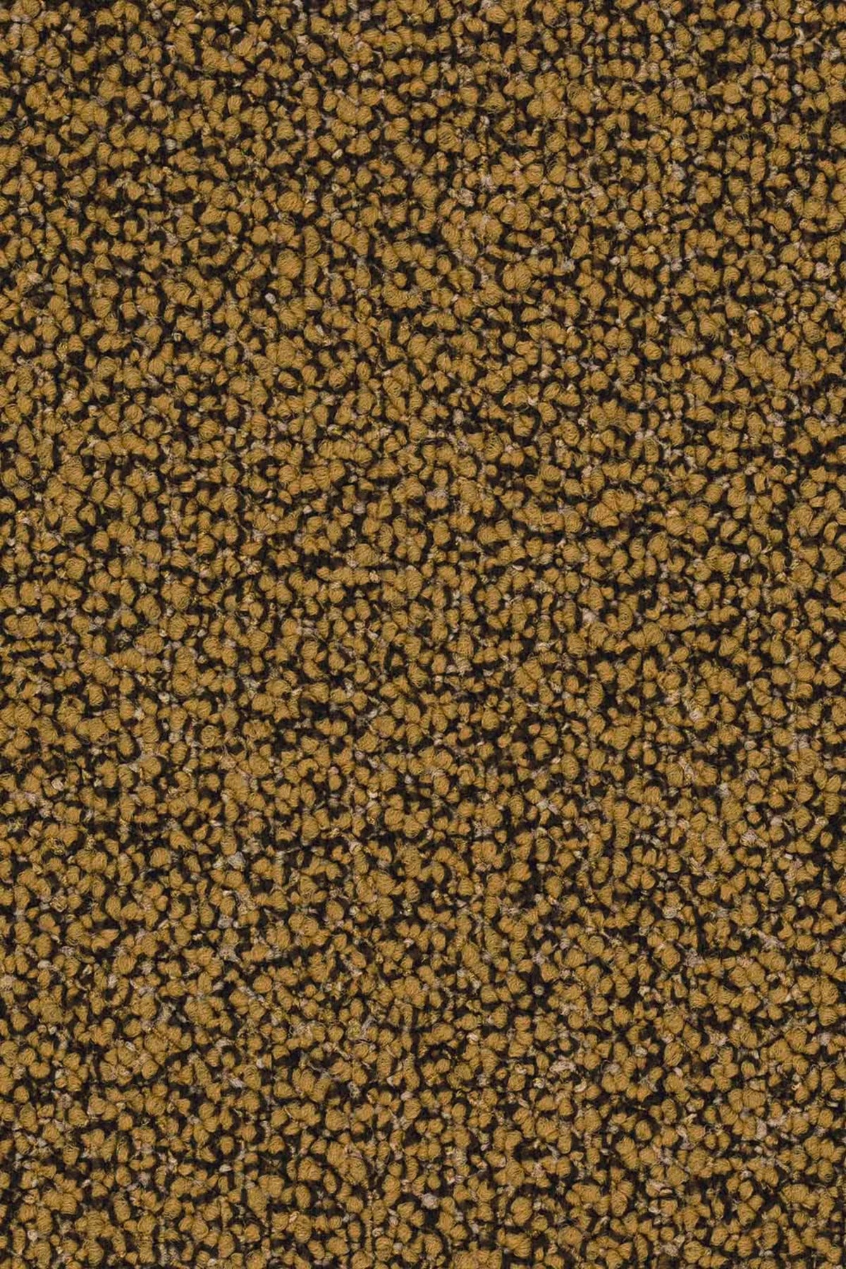 Lisaro Farbe 215