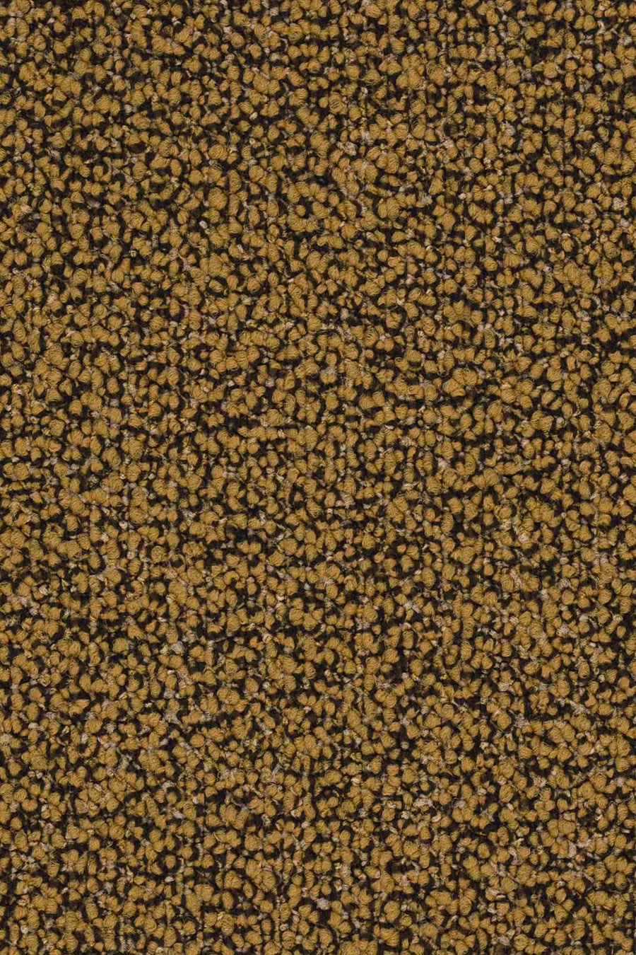 Lisaro Farbe 215