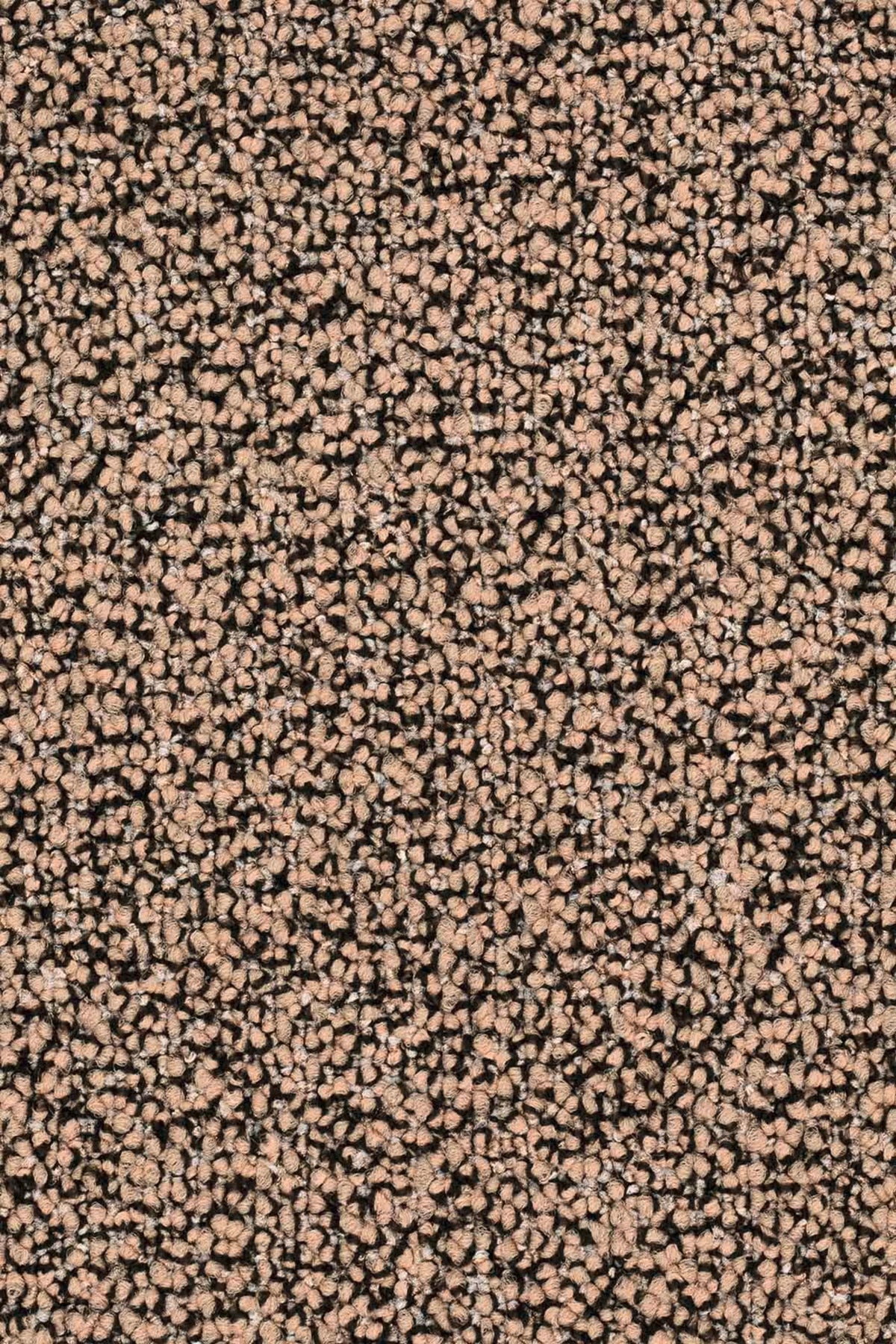 Lisaro Farbe 139