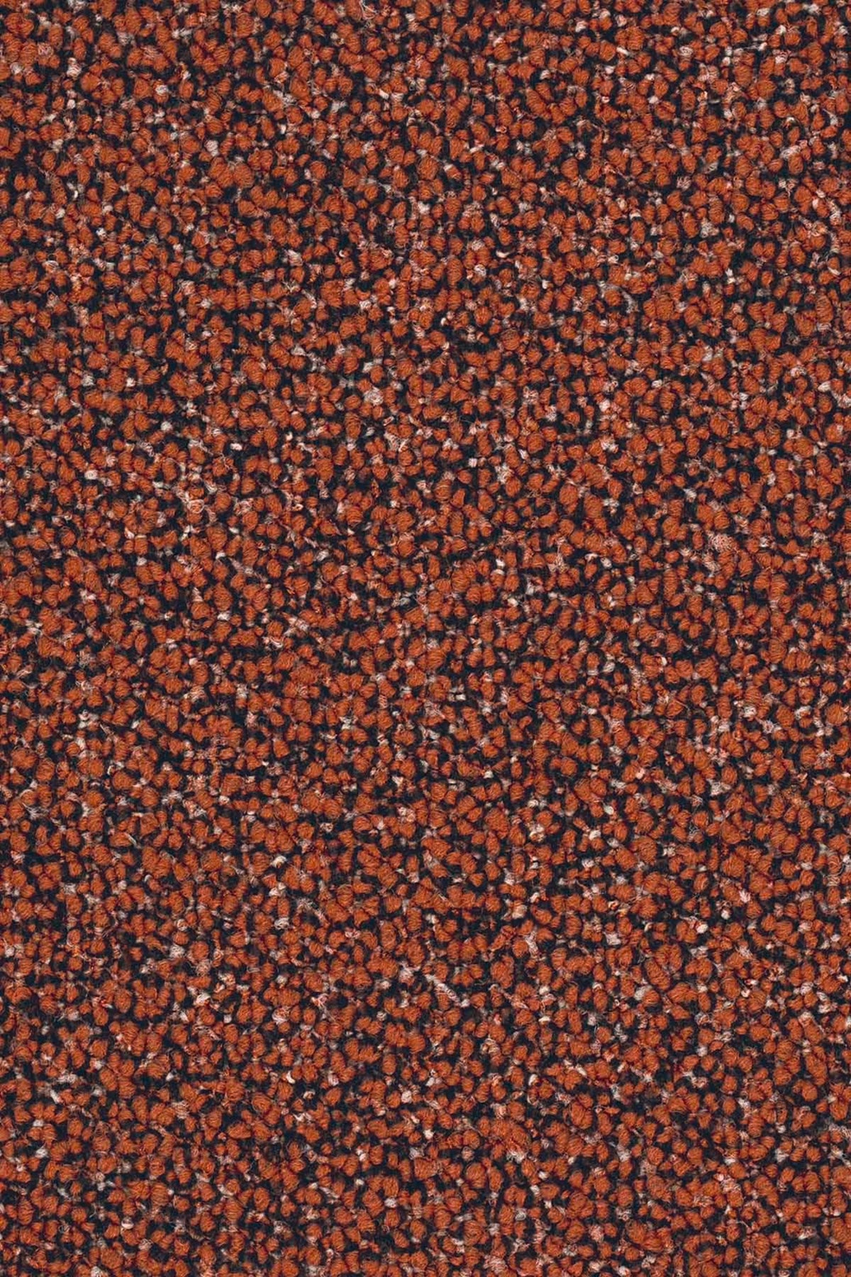 Lisaro Farbe 138