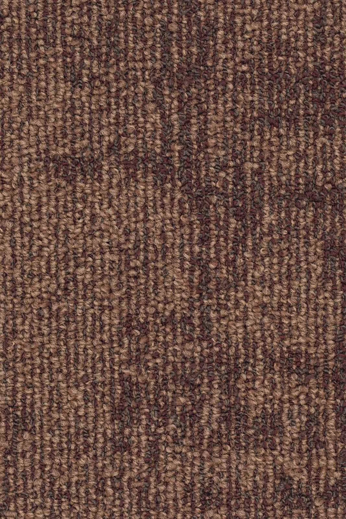 Maron Farbe 64