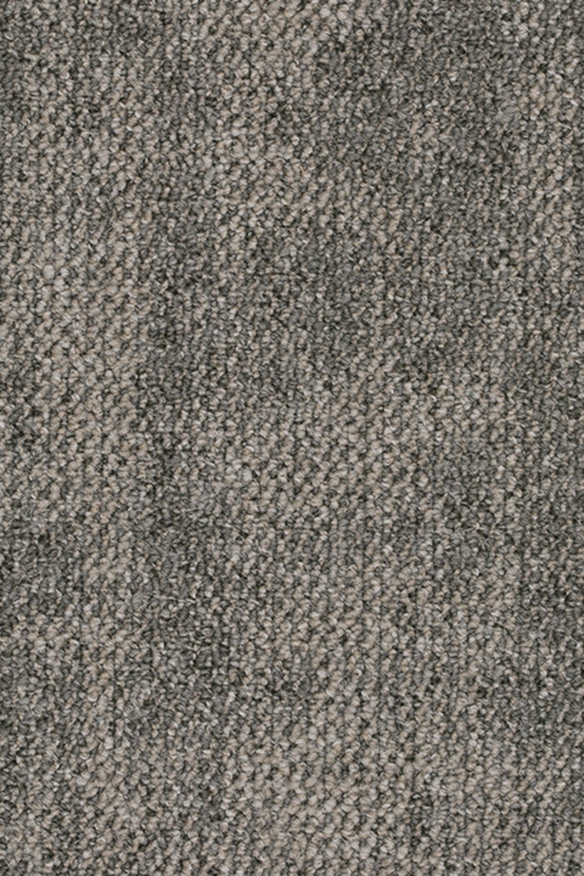 Pathos Fliese 50 x 50 cm Farbe 173