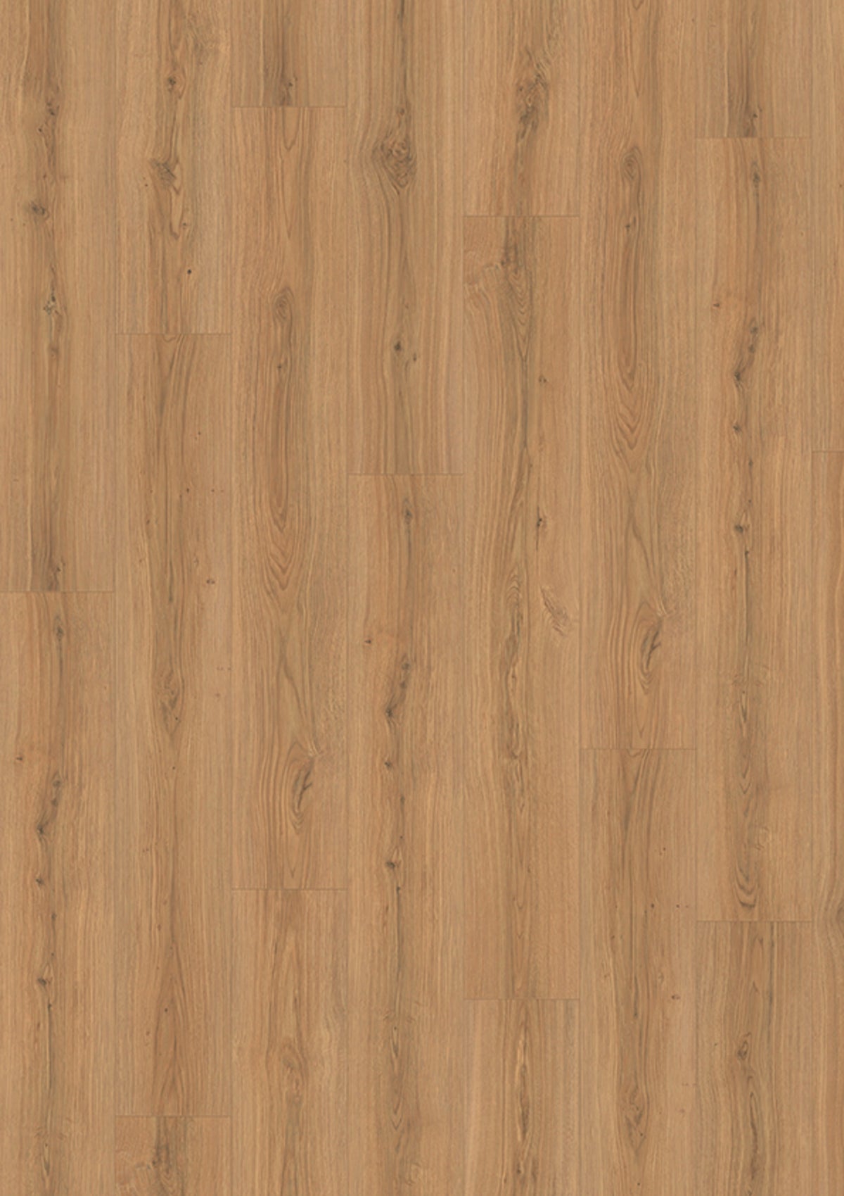 Skyline 5724 Oak capital warm V4