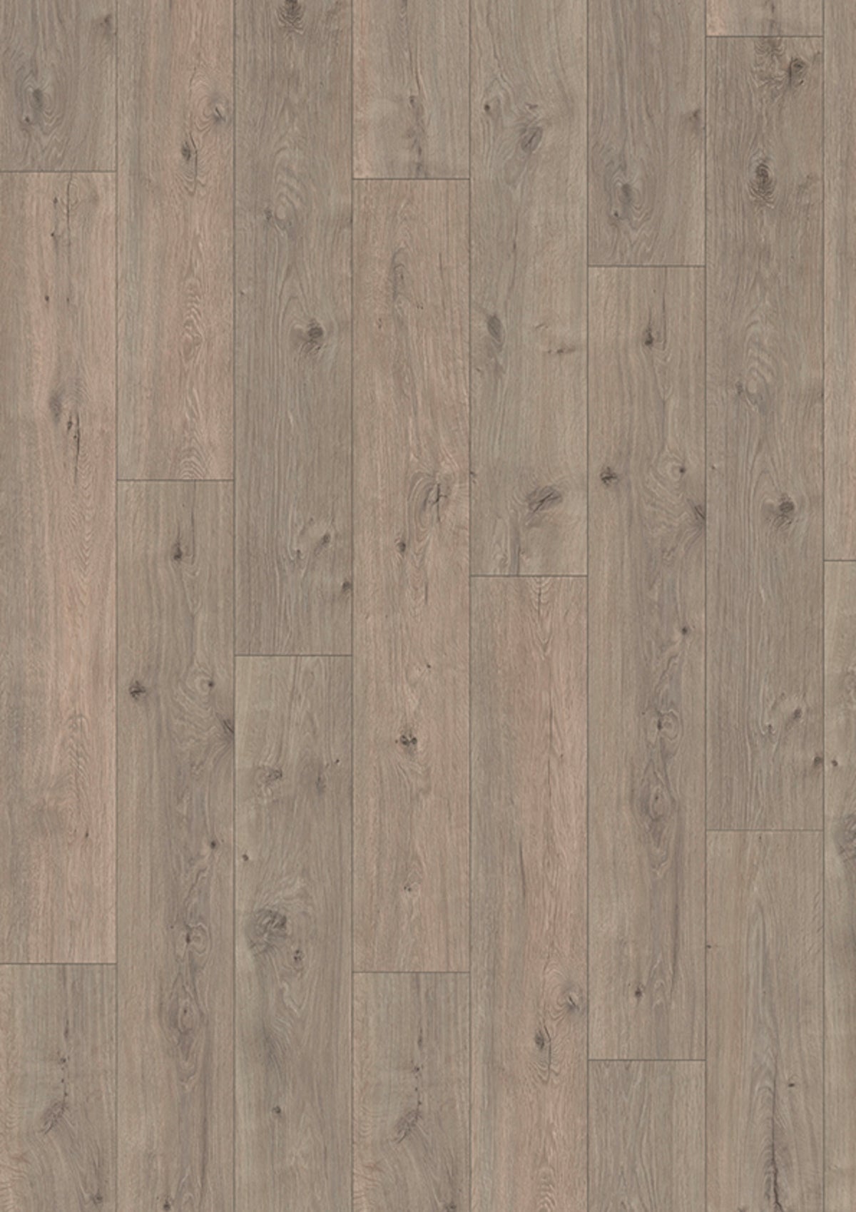 Madison City 4833 Oak shadow V4