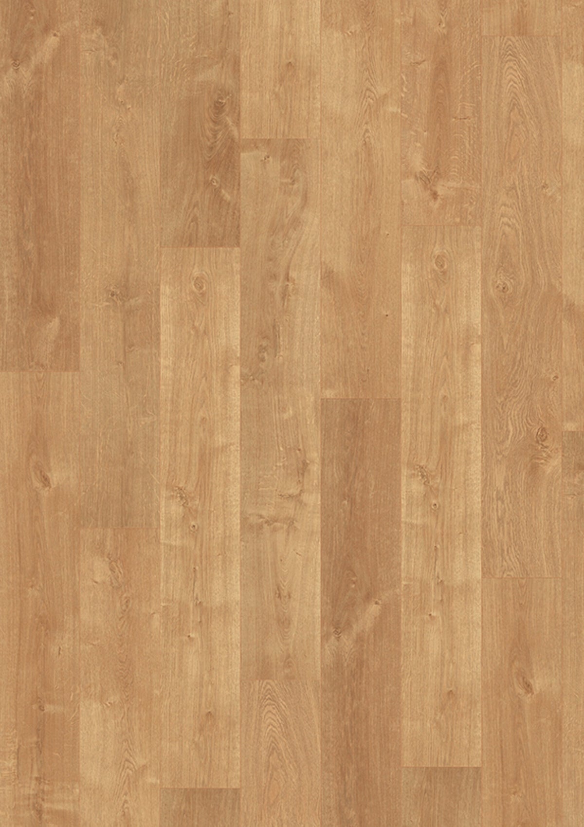 Madison City 4800 Oak royal V4