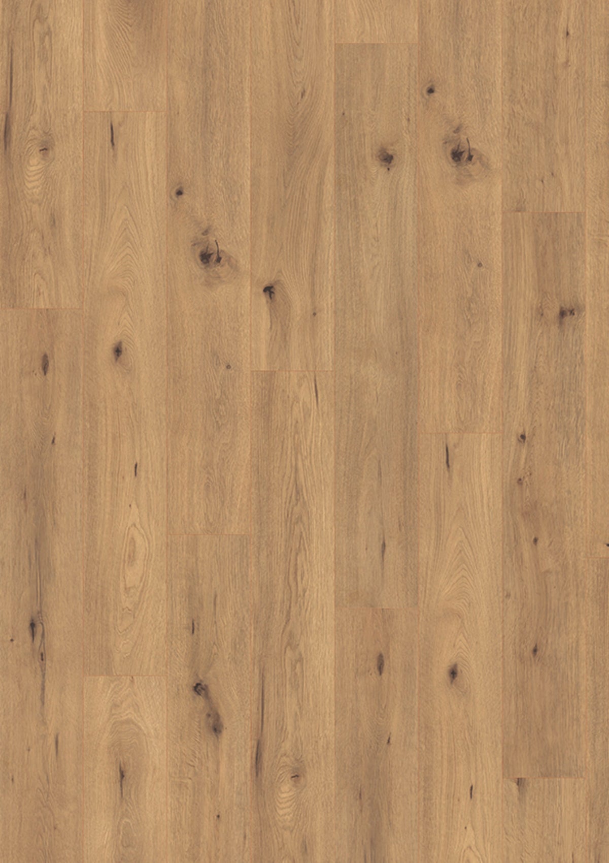 Madison City 4844 Oak spirit V4